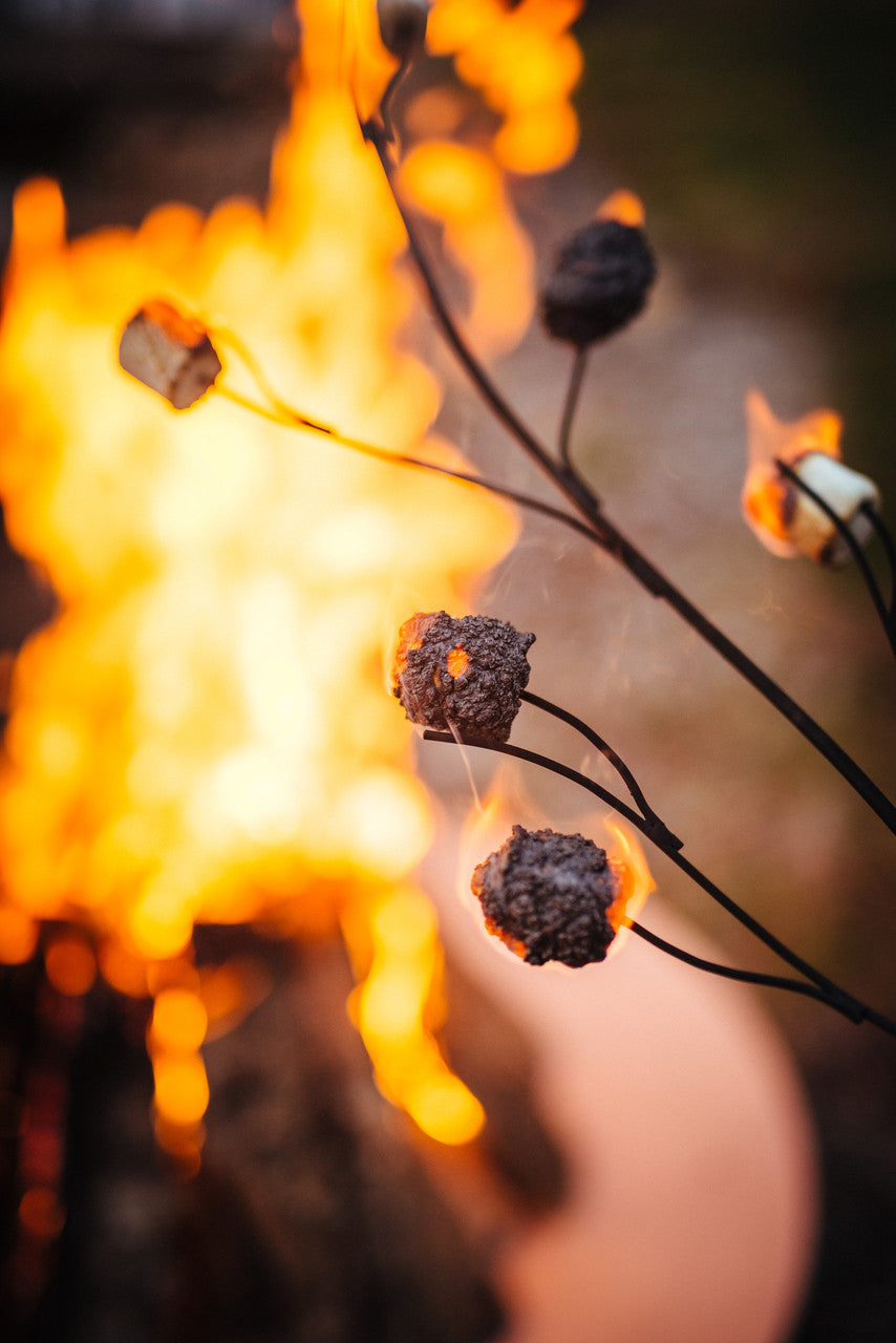 Roasting Sticks for Fire Pits & Campfires