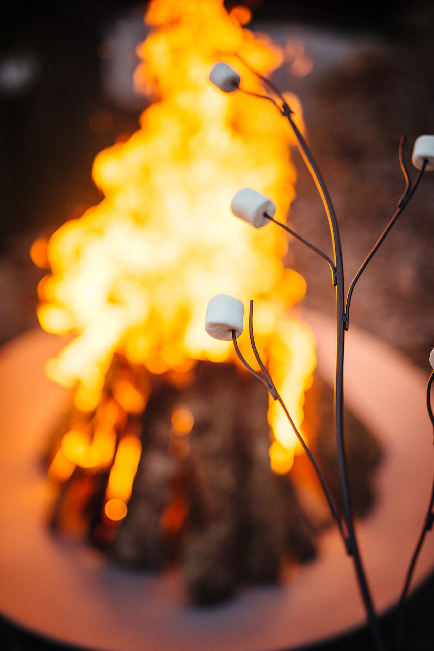 Roasting Sticks for Fire Pits & Campfires