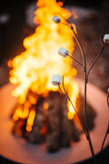 Roasting Sticks for Fire Pits & Campfires