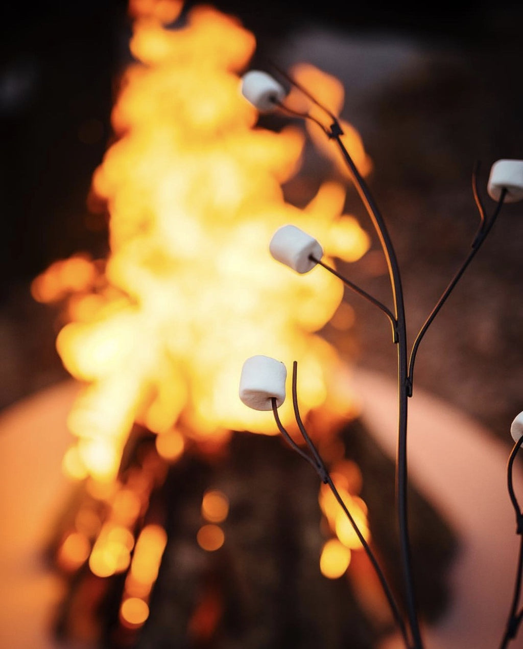 Roasting Sticks for Fire Pits & Campfires